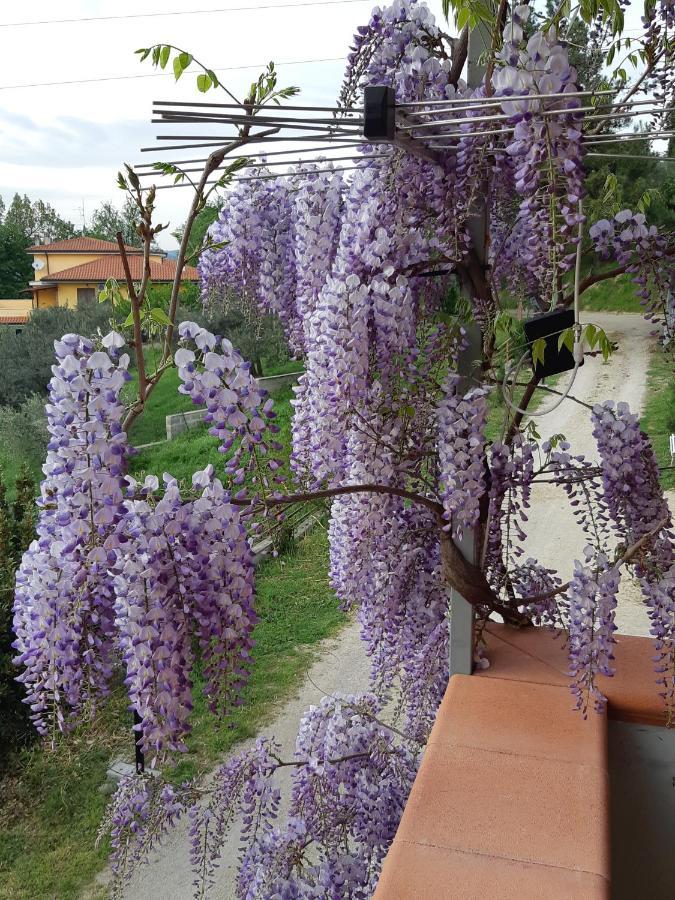 Bed and Breakfast Il Glicine Chieti Exterior foto